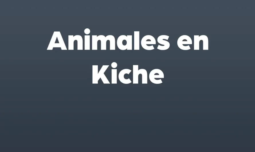TODOS los Animales en KICHE español con IMAGENES