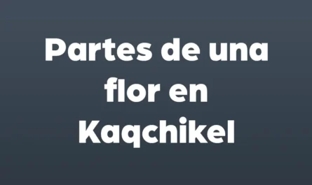 partes de una flor en kaqchikel