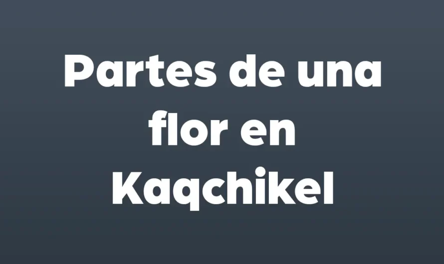 Partes de la flor en kaqchikel