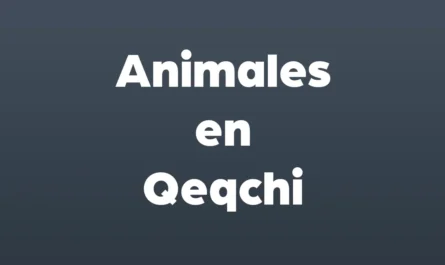 animales en qeqchi