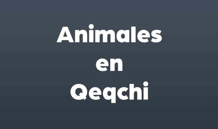 Más de 50 Animales en Qeqchi con IMAGENES