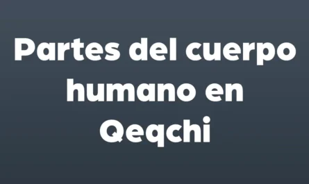 partes del cuerpo humano en qeqchi