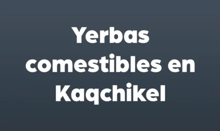 yerbas comestibles en kaqchikel
