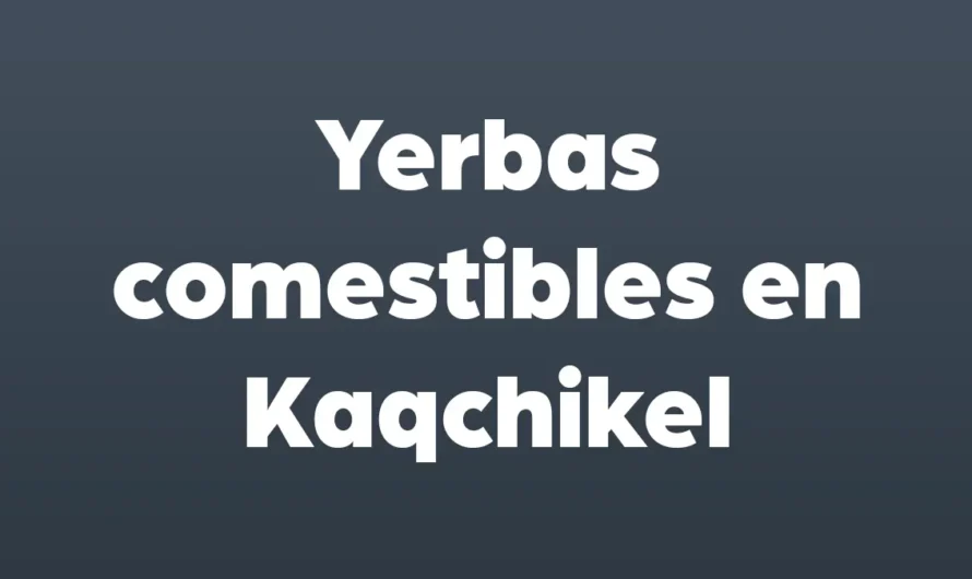YERBAS COMESTIBLES en Kaqchikel o plantas comestibles en kaqchikel