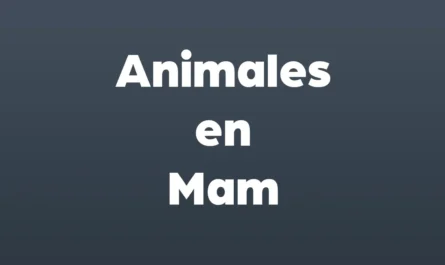 animales en mam