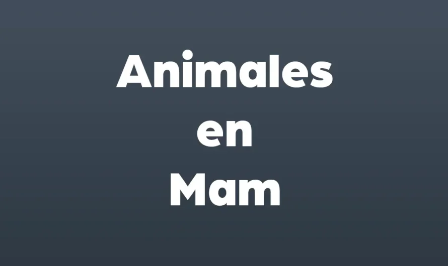 TODOS los Animales en Mam con IMAGENES