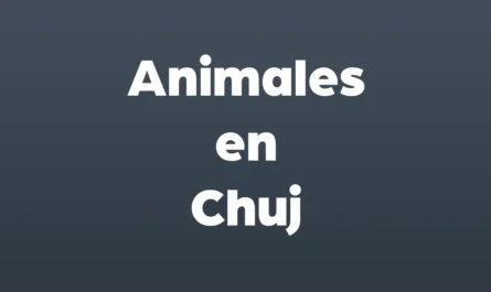 animales en chuj