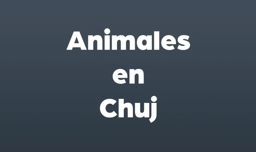 Animales en Chuj con IMÁGENES