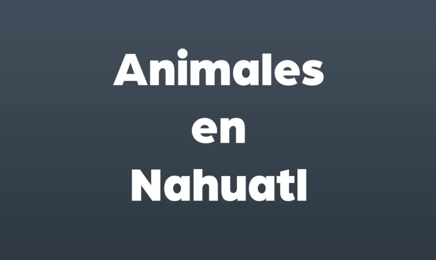 Animales en Nahuatl y español COMPLETO
