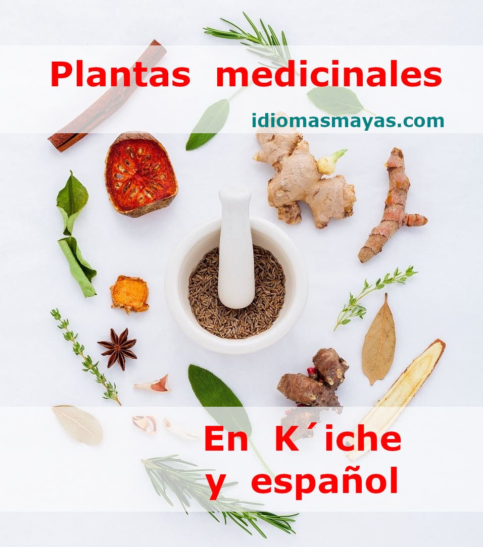 Nombres de plantas medicinales en kiche y español