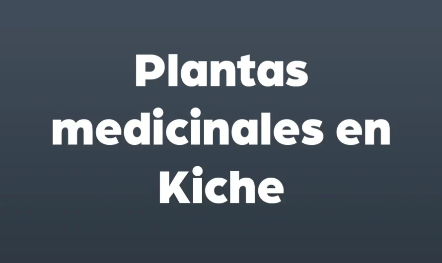 Nombres de plantas medicinales en kiche y español