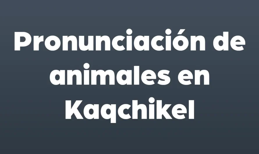 PRONUNCIACION de ANIMALES en KAQCHIKEL