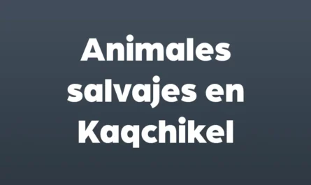 animales salvajes en kaqchikel