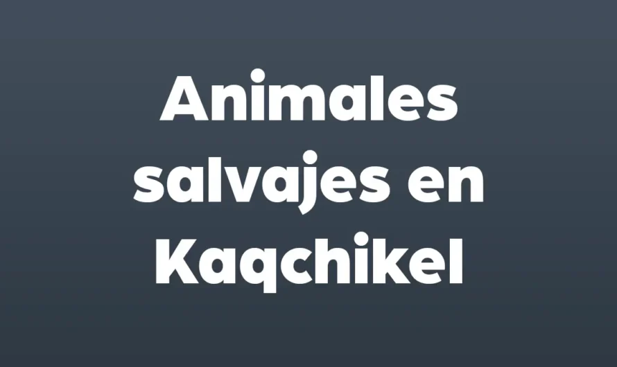 128 Animales SALVAJES en KAQCHIKEL