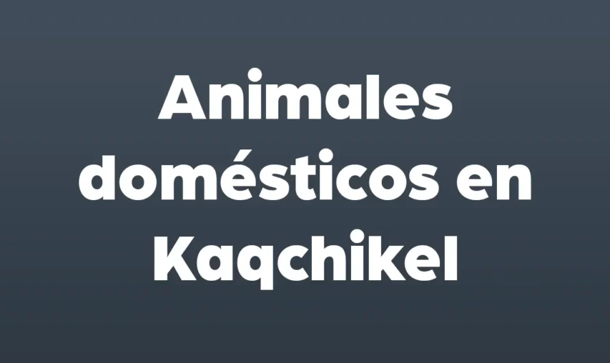 21 ANIMALES domésticos en KAQCHIKEL