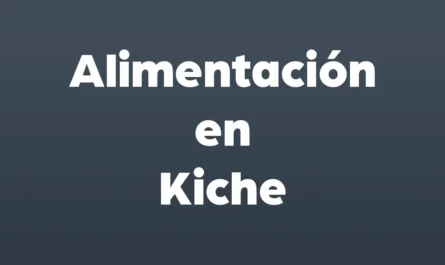 alimentacion en kiche