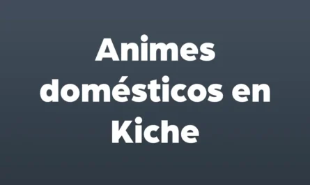 animales domesticos en kiche