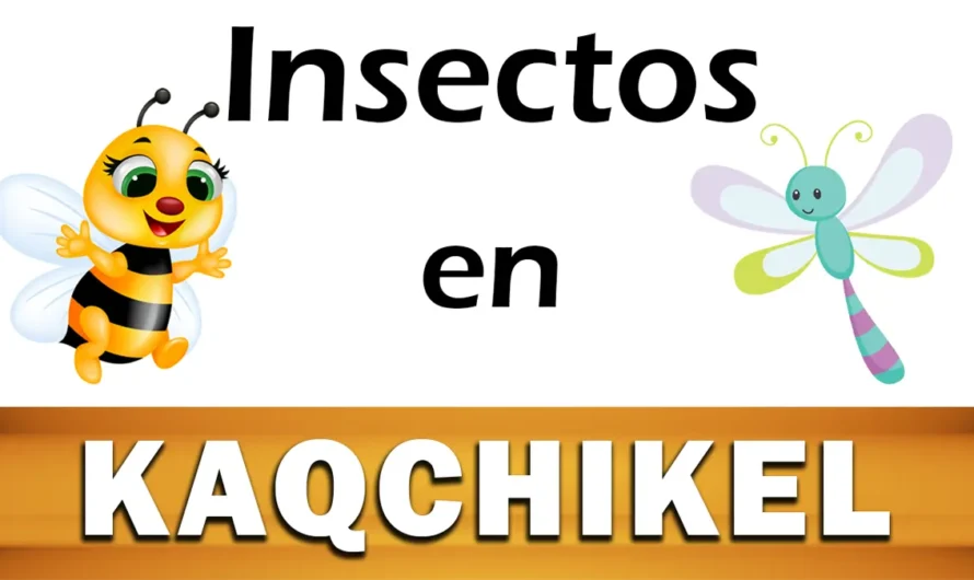 Tipos de INSECTOS en Kaqchikel