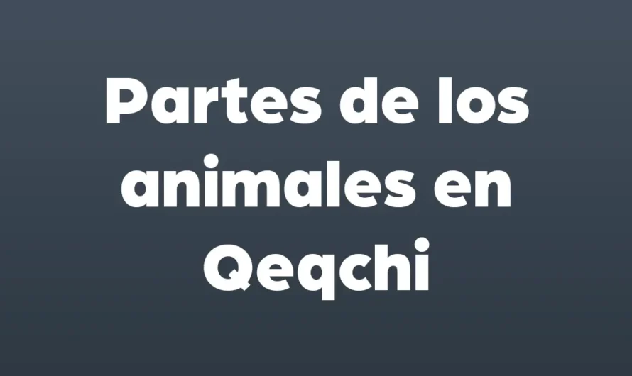 Parte de los ANIMALES en Qeqchi