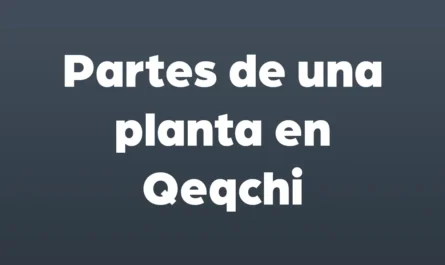 parte de una planta en qeqchi