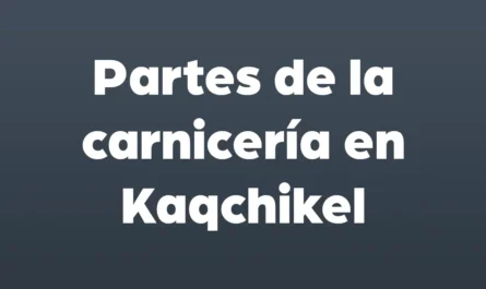 partes de la carniceria en kaqchikel