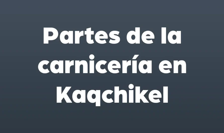 Partes de la CARNICERIA en KAQCHIKEL