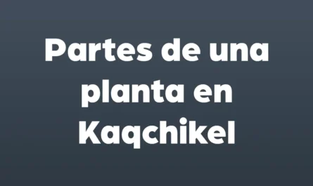 partes de una planta en kaqchikel