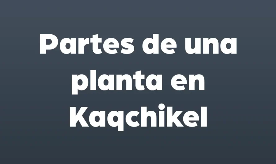 Partes de una PLANTA en Kaqchikel