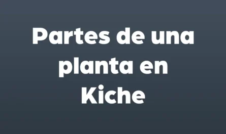 partes de una planta en kiche
