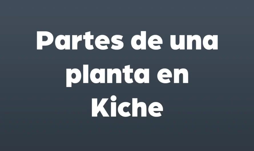 Partes de una PLANTA en Kiche
