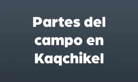 partes del campo en kaqchikel