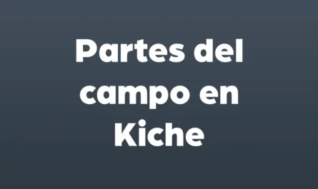 partes del campo en kiche