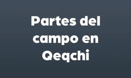 partes del campo en qeqchi