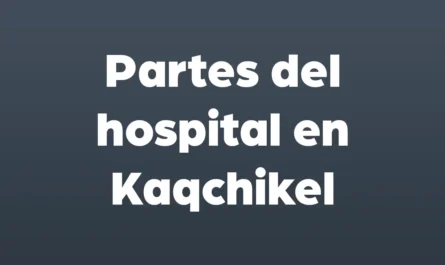 partes del hospital en kaqchikel