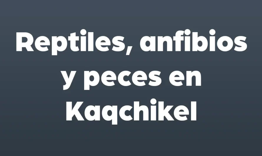 REPTILES, ANFIBIOS y PECES en Kaqchikel