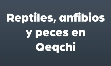 reptiles anfibios y peces en qeqchi