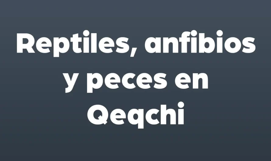 REPTILES, ANFIBIOS y PECES en Qeqchi