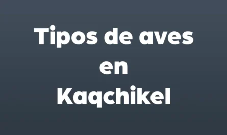 tipos de aves en kaqchikel