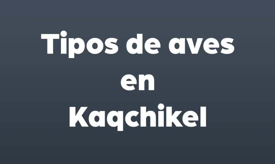 Tipos de AVES en Kaqchikel