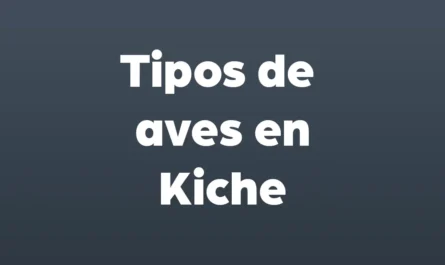 tipos de aves en kiche