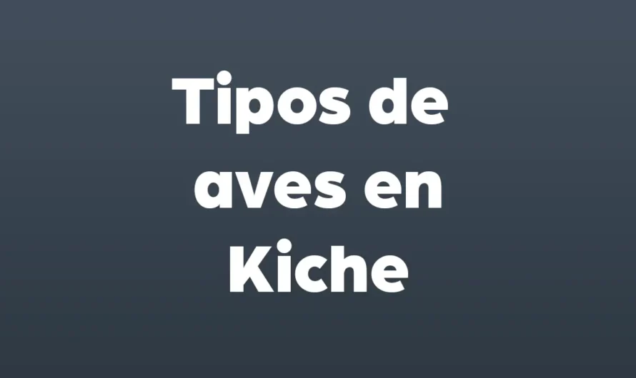 Tipos de AVES en Kiche