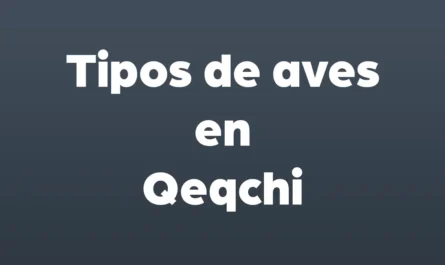tipos de aves en qeqchi