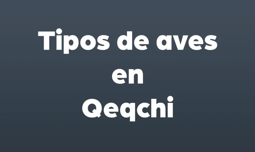 Tipos de AVES en Qeqchi