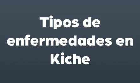 tipos de enfermedades en kiche