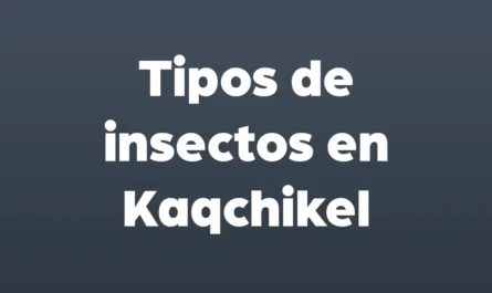 tipos de insectos en kaqchikel