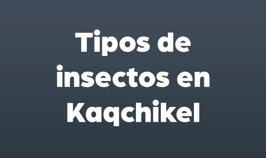Tipos de INSECTOS en Kaqchikel