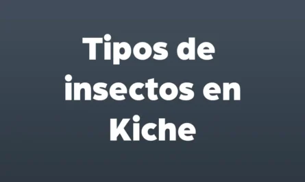 tipos de insectos en kiche