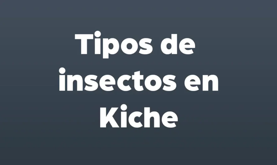 Tipos de INSECTOS en Kiche