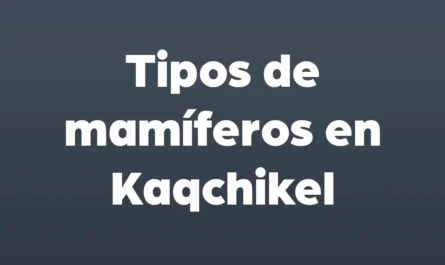 tipos de mamiferos en kaqchikel