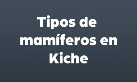 tipos de mamiferos en kiche